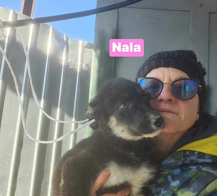 Nala