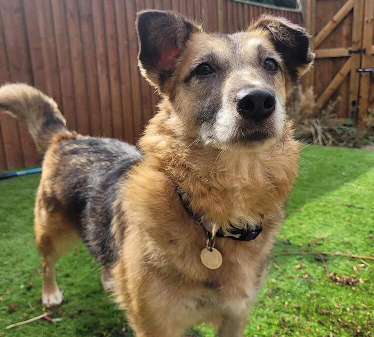 Mia is under assessment