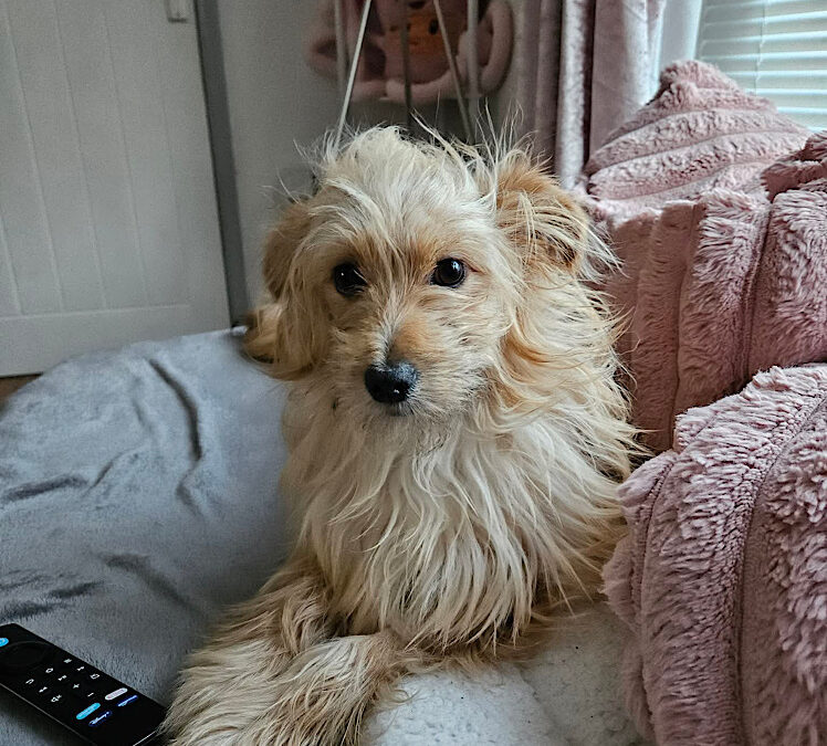 Charlie