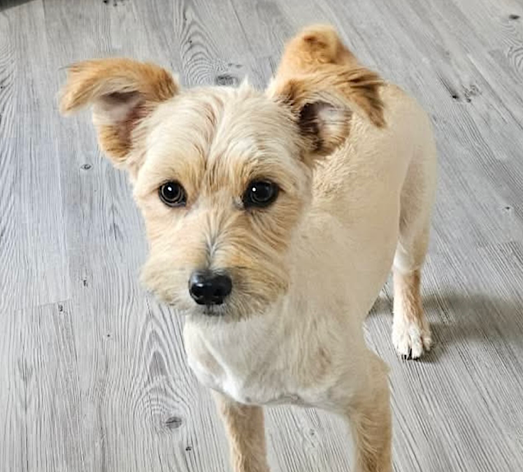 Charlie