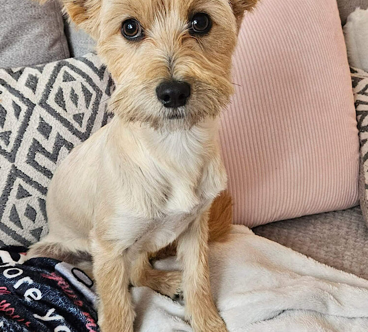 Charlie